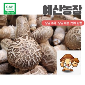 GAP인증 100% 산지직송 가정용 선물용-(농장직배송) 대용량표고버섯 급식용 식당용 건조용 가루용 이쁜이, 1kg, 1개