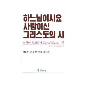 하느님이시요 사람이신 그리스도의 시 6: 공생활 셋째 해(중)