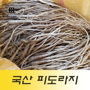 국산도라지 1kg 흙도라지 피도라지 껍질도라지, 1개, 1개입