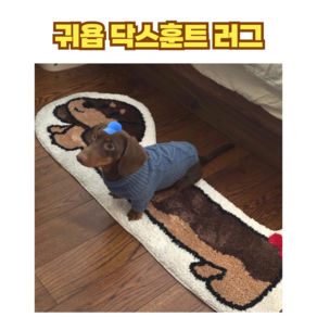 강아지 고양이 러그 흡수 침실 논슬립 러그 내장 플록 카펫 가정용 강아지 리빙 욕실