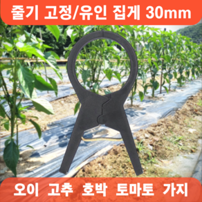 농사용 작물 집게 30mm 오이집게 고추 호박 가지 유인 비닐하우스, 100개