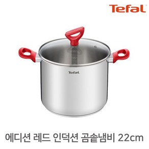 테팔 인덕션 에디션 곰솥 냄비, 레드, 1개, 22cm