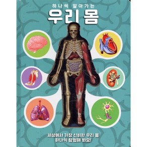 하나씩 알아가는 우리몸:세상에서 가장 신비한 우리 몸 하나씩 탐험해 봐요, 하나씩 알아가는 우리몸, 루안 콜롬보(저), 룰루아이