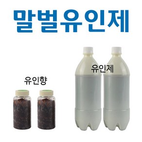 말벌포획기 말벌퇴치기 장수말벌 말벌 -말벌다잡아, 말벌포획기유인제+유인향2+2