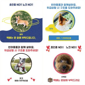 사이니즈 강아지 문패 팻말 자석부착 도어사인 초인종금지 벨누르지마세요 위급상황시 구해주세요 도어사인, 7.비취독, S (10X10cm), 위급상황 구조