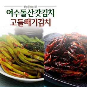 [웰빙촌]여수돌산갓김치1kg+여수고들빼기1kg, 1개