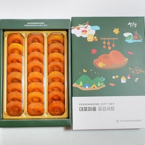 햇 곶감 지리산 산청 고종시 건시 설 선물세트 가정용 프리미엄, 1개, 1kg(24과)