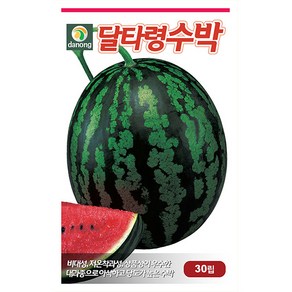 새로운 호박 씨앗 30립 - 호박 호박씨앗 애호박 야채씨앗 채소씨앗 채소재배 종묘 종자 베란다 텃밭 씨 씨앗 오이 호박 방, 1개