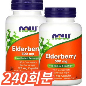 나우푸드 엘더베리 농축 500mg 식물성 120캡슐 삼부커스 열매 베지캡슐, 240회분, 1개