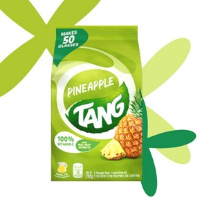 탕 파인애플 분말 주스 Tang PineApple, 1개, 250g