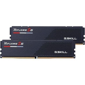 G.Skill RipJaws S5 시리즈 32GB (2 x 16GB) 288핀 SDRAM DDR5 6000 CL30 1.35V 싱글 채널 데스크탑 메모리 매트 화이트 (F5-600, 4) Matte Black - 48GB (2x24GB)