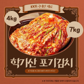 국내산 고춧가루로 만든 안동 학가산 포기김치 7KG, 1개