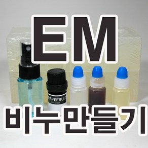 [더위치] 더위치 EM비누만들기키트 (몰드없음) / 이엠비누 만들기세트, 1개