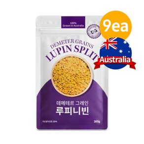 데이즈온 데메테르 그레인 루피니빈 300g 9팩, 9개