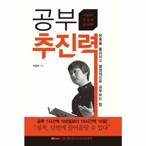 공부 추진력 유혹을 물리치고 열정적으로 공부하는 힘, 바다출판사, 박철범 저