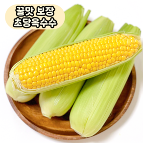 [안심농원] 국내산 고당도 초당옥수수, 1박스, [로얄] 10개 (13cm 이상)