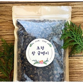 국내산 100% 고단백 초평 건조굼벵이 500g, 2개