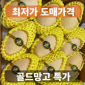 도매가 국내 태국 남독마이 골드망고, 1개, 4kg (8-12과)