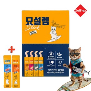 [겟플렉스]페슬러 묘설렘 4종 버라이어티 40P+랜덤2P 저염 고양이 츄르 스틱 간식, 1개