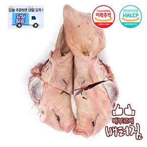 (배터짐) 수입산 통 돼지머리 4등분 한마리분, 5.2kg, 1개