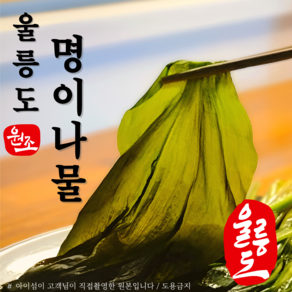 아이섬 울릉도산 명이나물 (1kg) 명이절임 명이장아찌 명이지 명의나물 반찬 아이섬 업소용 대용량