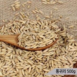 건강알곡 통귀리 500g 앵무새 햄스터 소동물 영양간식, 1개