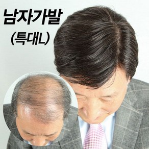 여우가발 중년남성 새치 혼합 중 투페 가르마형 가발 M2003, 1개