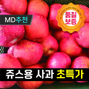 [레스토랑납품] 합리적인 고당도 달콤 아삭한 쥬스용 사과, 1박스, 쥬스용 사과 10kg