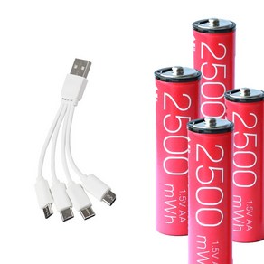 WINZONE USB C타입 충전 배터리 충전 건전지 AA 1.5V 1700mAh (2500mWh) 4P세트/동시충전 케이블/Li-ion, 1세트, 4개입