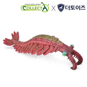 컬렉타 아노말로카리스 88977