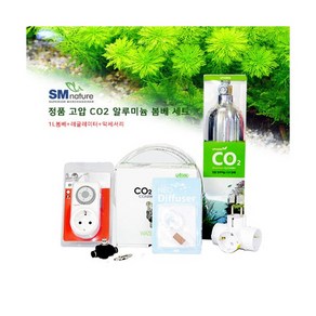 SM 정품 고압봄베 Co2 세트 [1L], 1세트