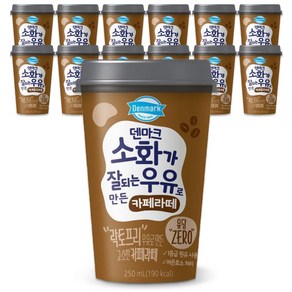 덴마크 소화가 잘되는 우유로 만든 카페라떼 250mL 12컵/무배, 12개