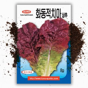 화동 적치마 상추씨앗 (8000립), 1개