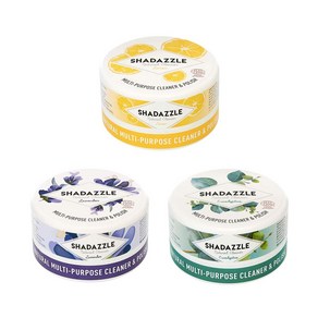 [당일출고] 샤다즐 욕실 주방 청소 다목적 클리너 세정제 300g 3종 택1, eucalyptus 300g, 1개
