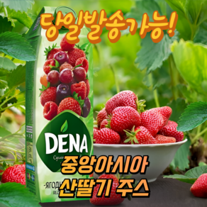 데나 천연 산딸기 포도 체리 딸기 혼합주스 (과즙100%) DENA RASPBERRY/GRAPE/CHERRY/STRAWBERRY JUICE EXPERT, 1개, 1L