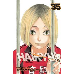 (영문도서) Haikyu!! Vol. 35 Volume 35 Papeback, Viz Media