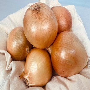 [농부곳간]25년 햇 양파 전남 무안 조생 3kg 중 사이즈, 양파 3kg 중, 1개
