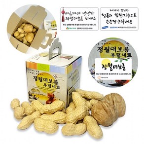 정월대보름 부럼 케이스 피땅콩50g + 호두2알 견과류, 1개