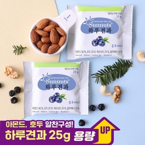 [하루견과]하루견과블루베리50낱봉/원물간식/하루견과/대용량/간편식, 25g, 50개