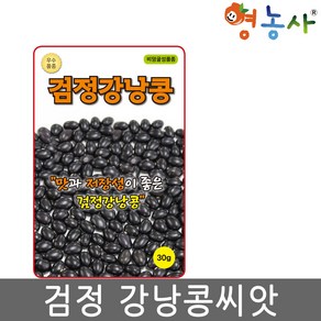검정강낭콩씨앗 30g, 1개