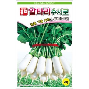 아시아종묘 씨앗 알타리무 수시로 500g