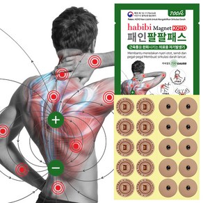 HBB 자석파스 패인팔팔패스 동전통증패치 파스 자석 200매 10박스