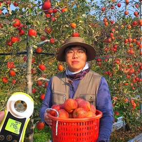 14브릭스 고당도 비경사과 비경부사 5kg, 1개, 실속-중소과(18-20)