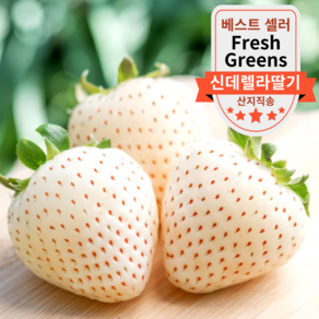 [논산] 고당도 신데렐라딸기 프리미엄 눈꽃딸기 농장직송 흰딸기, 1박스, 920g