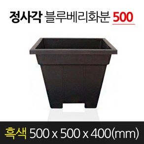 금산화분나라 고무 블루베리화분 정사각형 흑색 500 x 400 분갈이, 1개