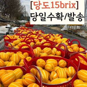 참외 성주참외 꿀참외 못난이참외 고당도 가정용 선물용, 1개, 2kg, 가정용 2kg중대과