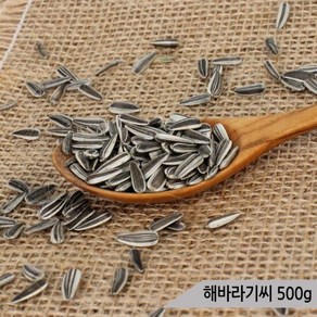 건강알곡 해바라기씨 500g 앵무새 햄스터 간식 사료, 1개