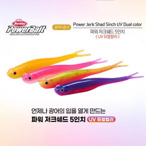 버클리 저크쉐드 5인치 UV 스페셜 광어다운샷 웜, ACV(Anchovy), 1개