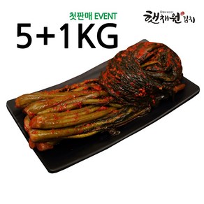 맛있는 돌산 갓 김치 국산 전라도 저온 숙성 갓김치 5KG, 1개