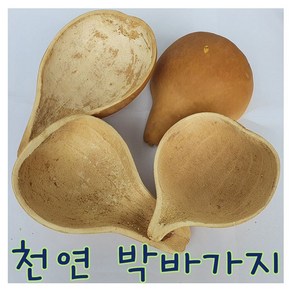 IQPLUS 박바가지, 1개, 박바가지/중